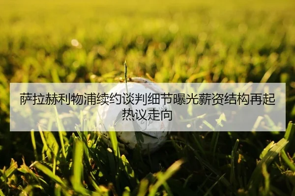 sa-la-he-li-wu-pu-xu-yue-tan-pan-xi-jie-bao-guang-xin-zi-jie-gou-zai-qi-re-yi-zou-xiang-2-873.jpg